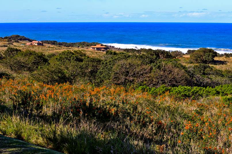 1743 m² Land available in Leisure Bay photo number 7