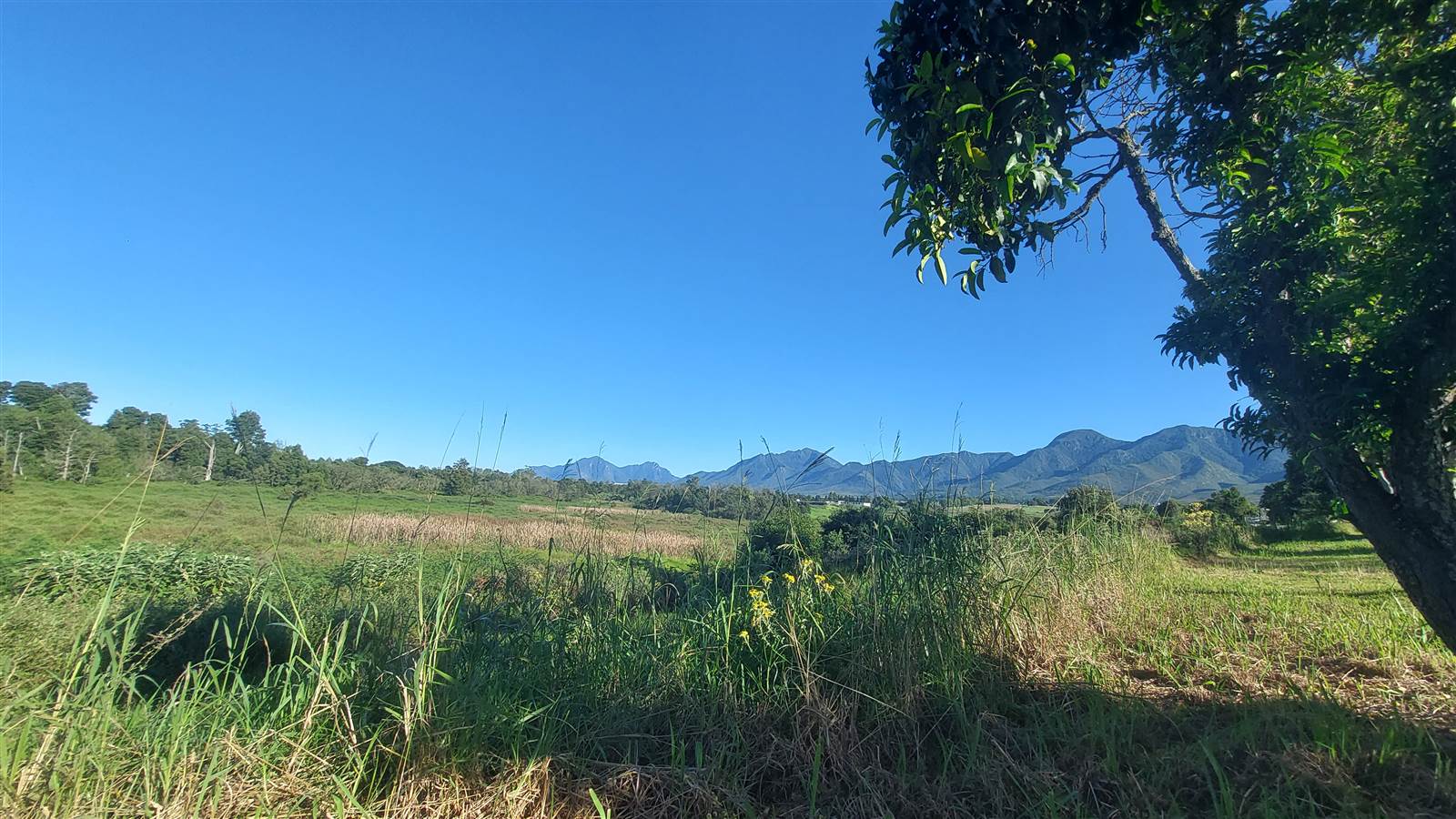 1596 m² Land available in Blanco photo number 4
