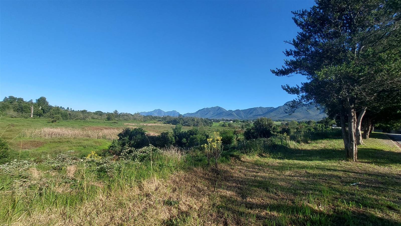 1596 m² Land available in Blanco photo number 6