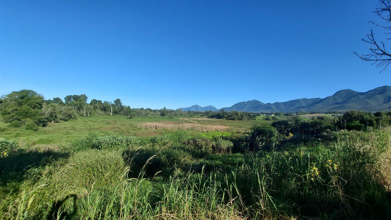 1596 m² Land available in Blanco photo number 5