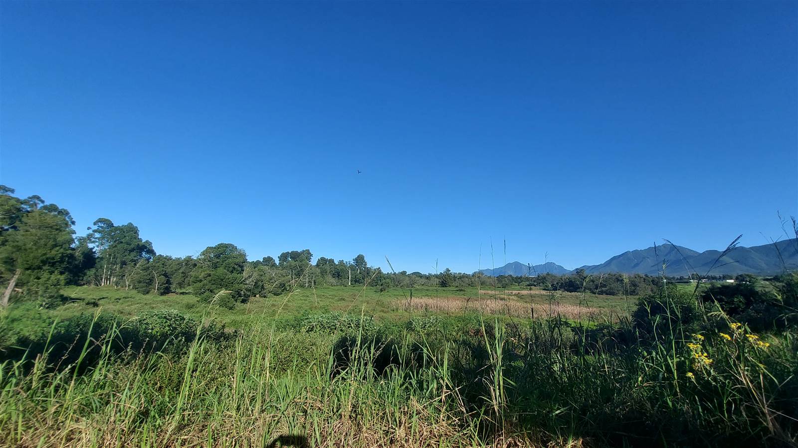 1596 m² Land available in Blanco photo number 2