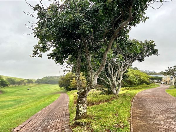 1100 m² Land available in Princes Grant Golf Estate