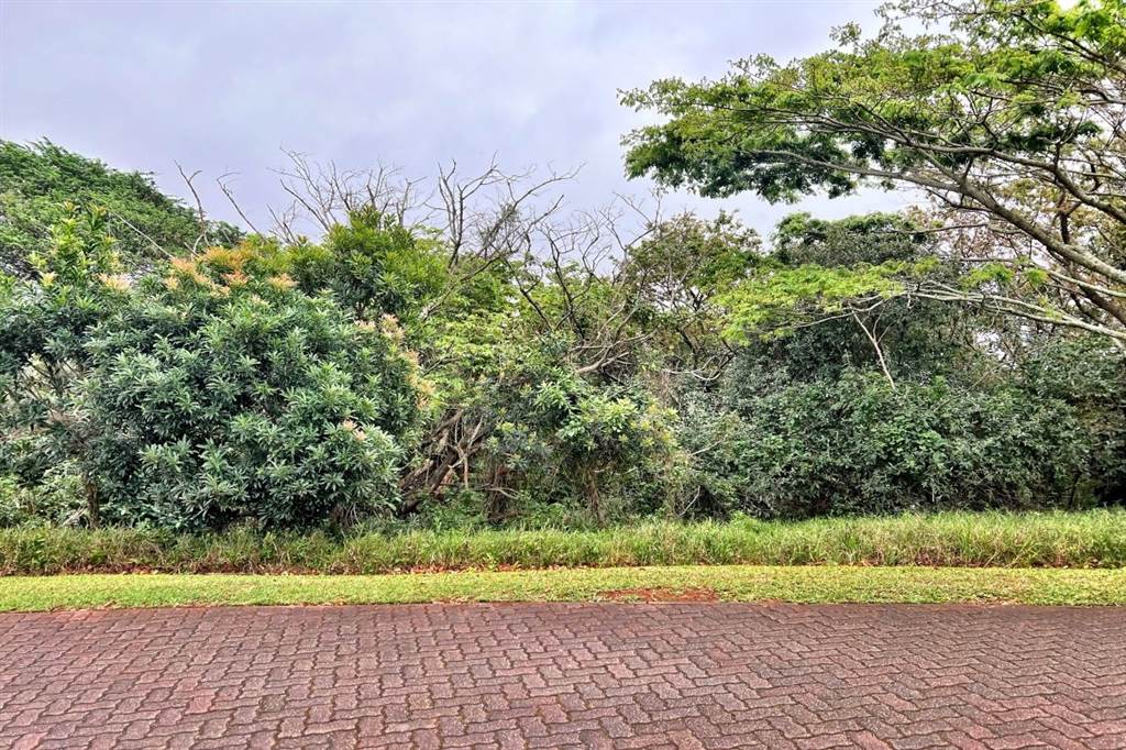 1100 m² Land available in Princes Grant Golf Estate photo number 4