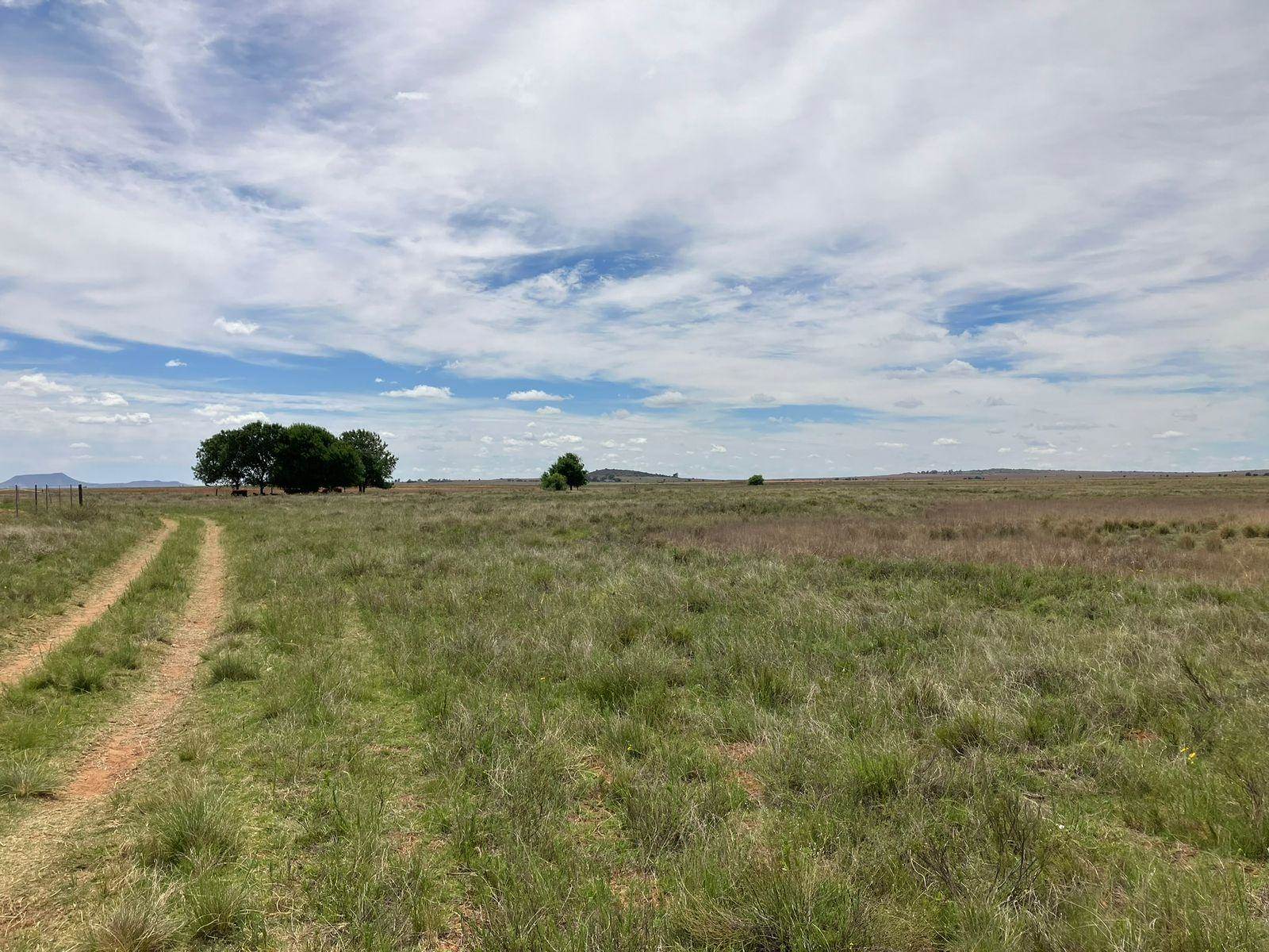 69 ha Farm in Bloemfontein Rural photo number 19