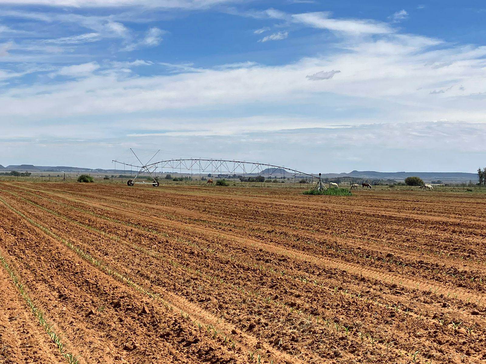 69 ha Farm in Bloemfontein Rural photo number 8