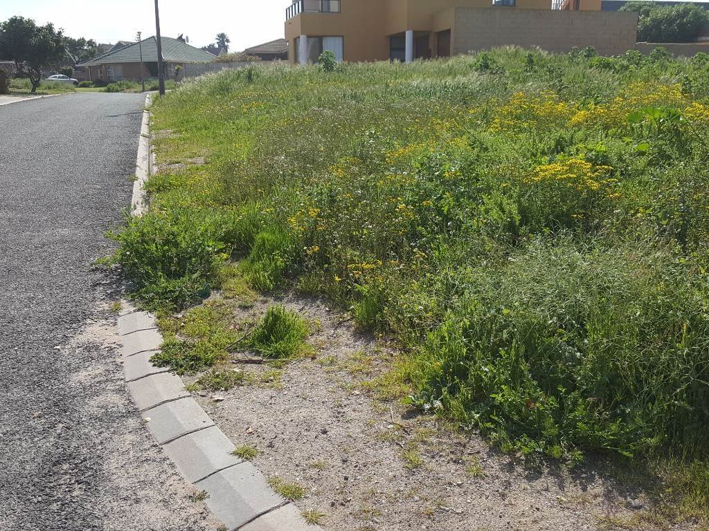 587 m² Land available in Saldanha photo number 4