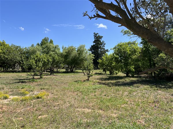 2 124 m² Land