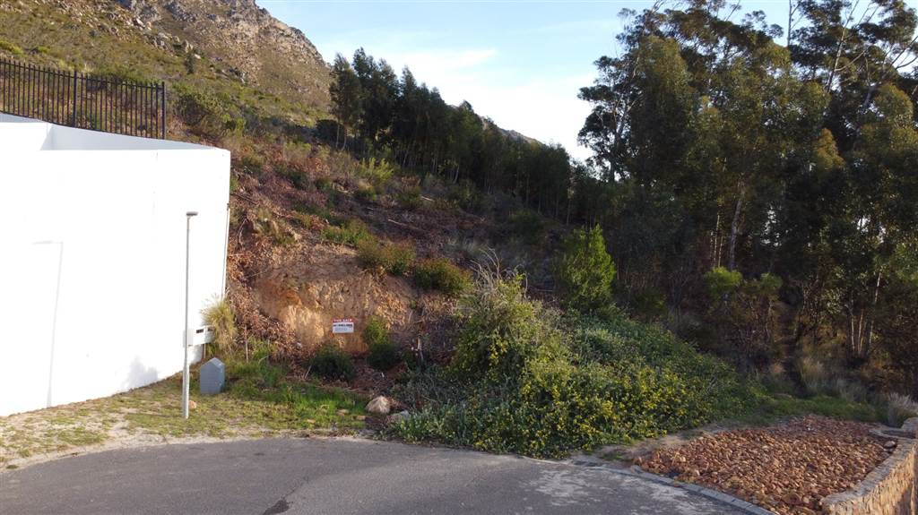 1317 m² Land available in Gordons Bay Central photo number 10