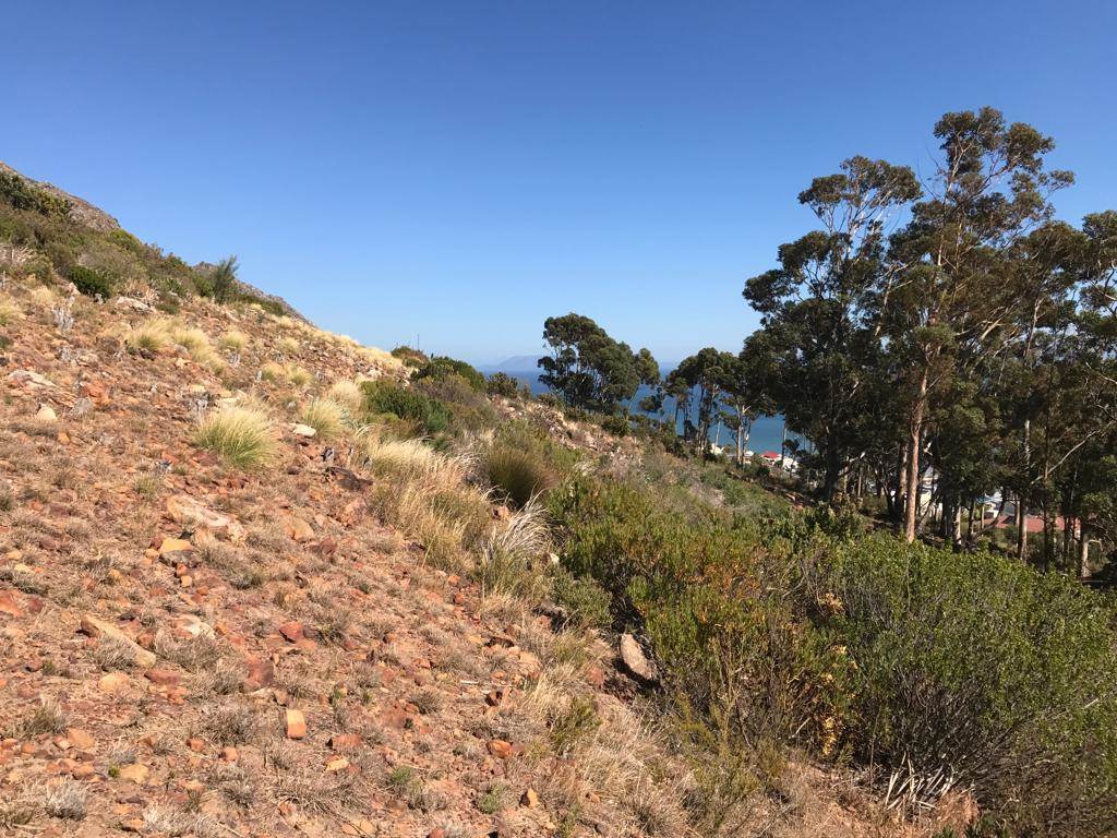 1317 m² Land available in Gordons Bay Central photo number 6