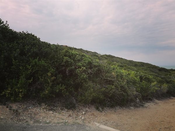 7754 m² Land available in Nautilus Bay