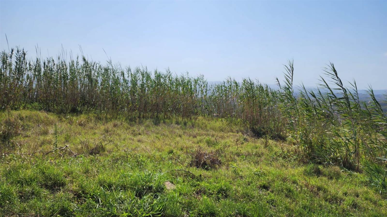 476 m² Land available in Southgate photo number 2