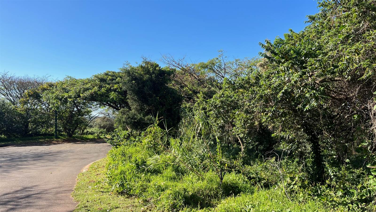 1851 m² Land available in Mtunzini photo number 6