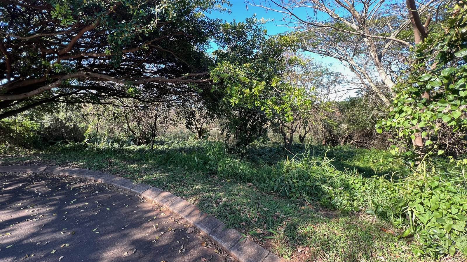 1851 m² Land available in Mtunzini photo number 2
