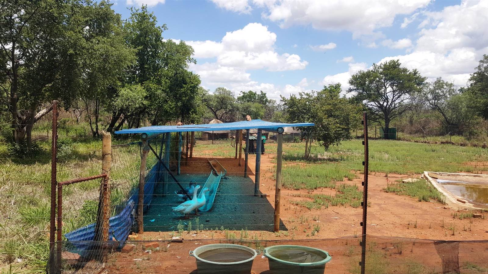 24.9 ha Farm in Kungwini Country Estate photo number 13