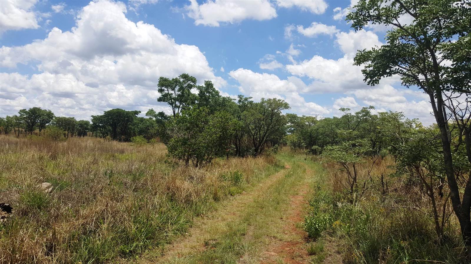 24.9 ha Farm in Kungwini Country Estate photo number 30