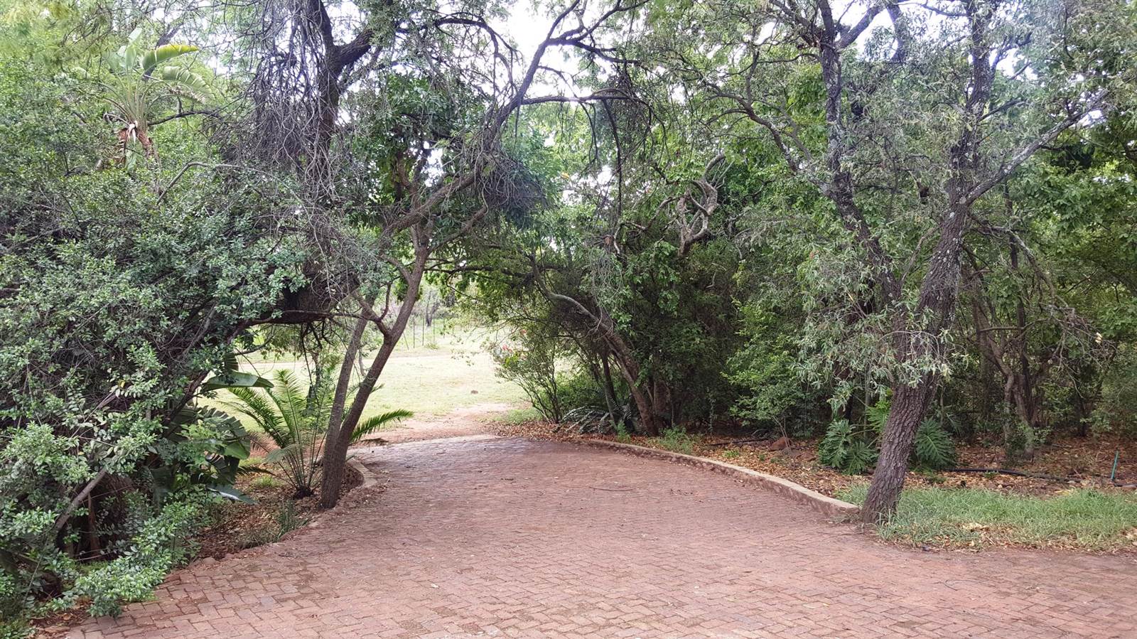 24.9 ha Farm in Kungwini Country Estate photo number 22