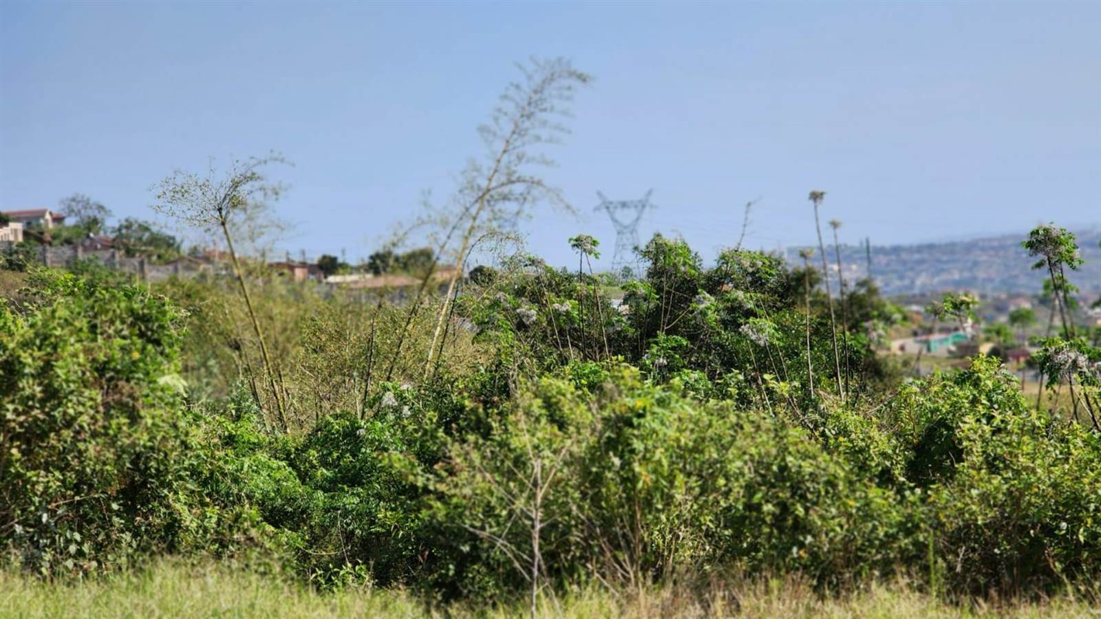 489 m² Land available in Southgate photo number 8