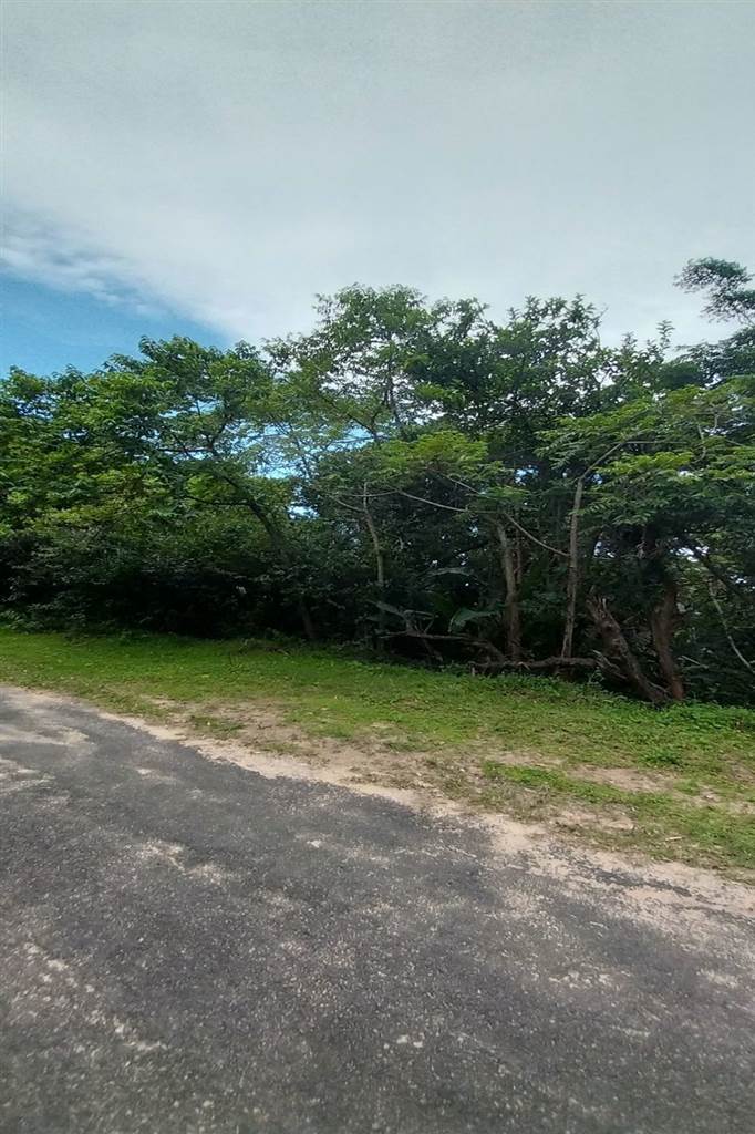 3593 m² Land available in Bazley Beach photo number 2