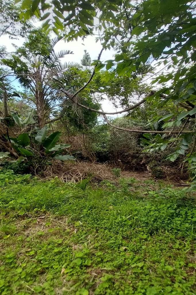 3593 m² Land available in Bazley Beach photo number 1