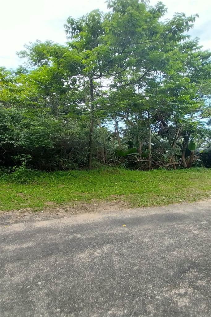 3593 m² Land available in Bazley Beach photo number 6
