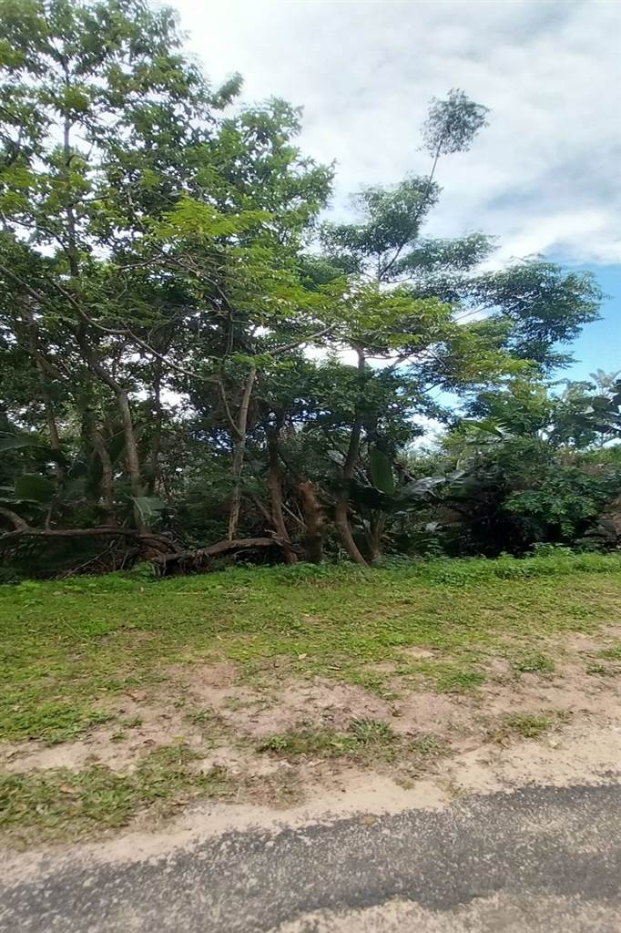 3593 m² Land available in Bazley Beach photo number 7