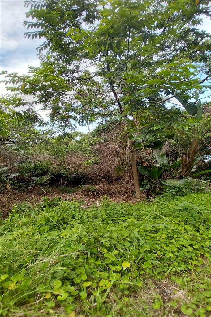 3593 m² Land available in Bazley Beach photo number 3