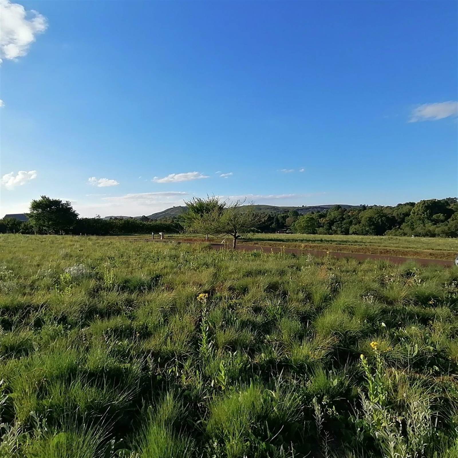 2531 m² Land available in Howick photo number 3