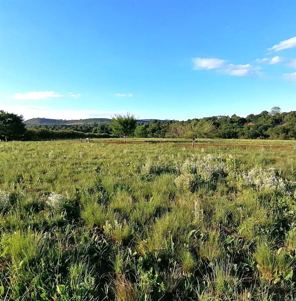 2531 m² Land available in Howick photo number 2