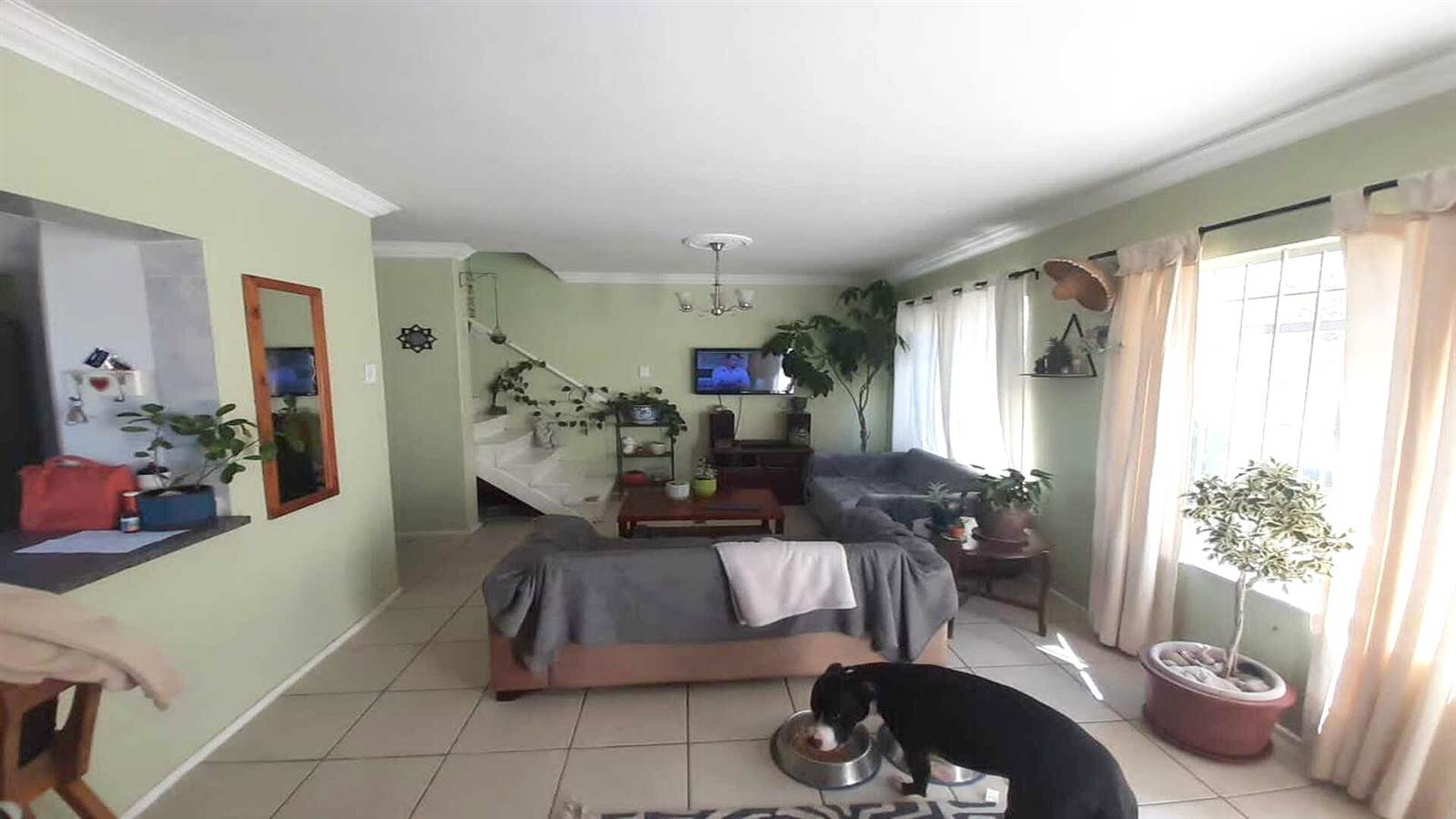 3 Bed Townhouse in Groenvallei photo number 5