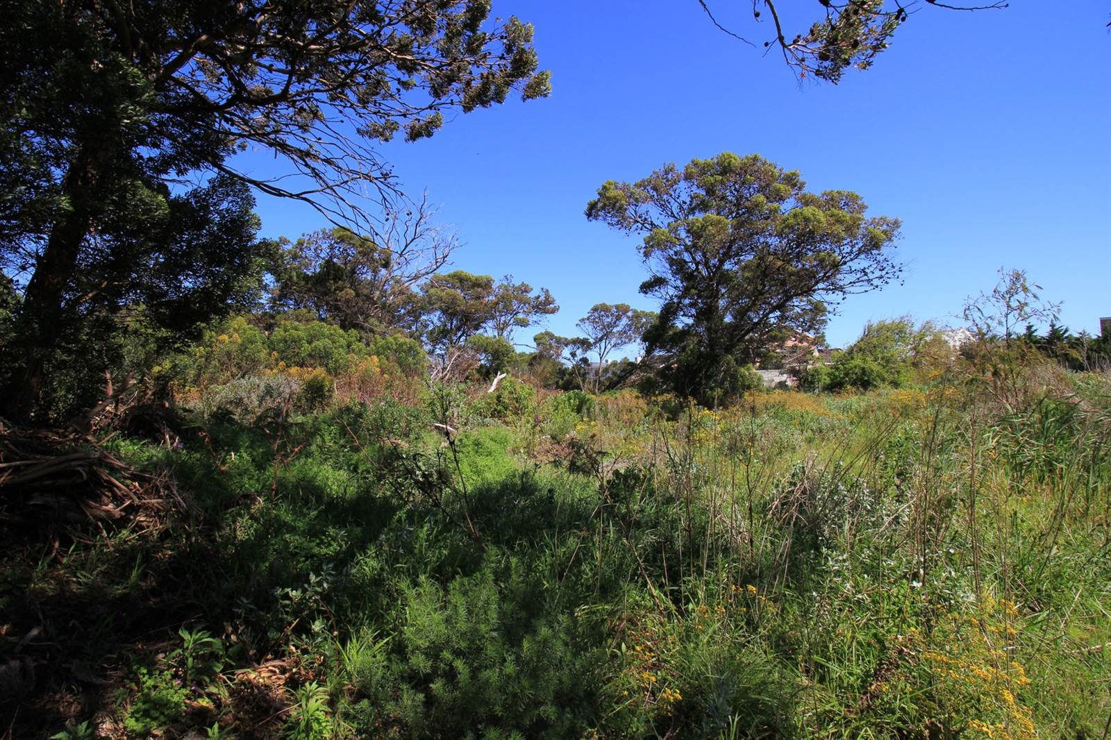 3252 m² Land available in Bettys Bay photo number 7