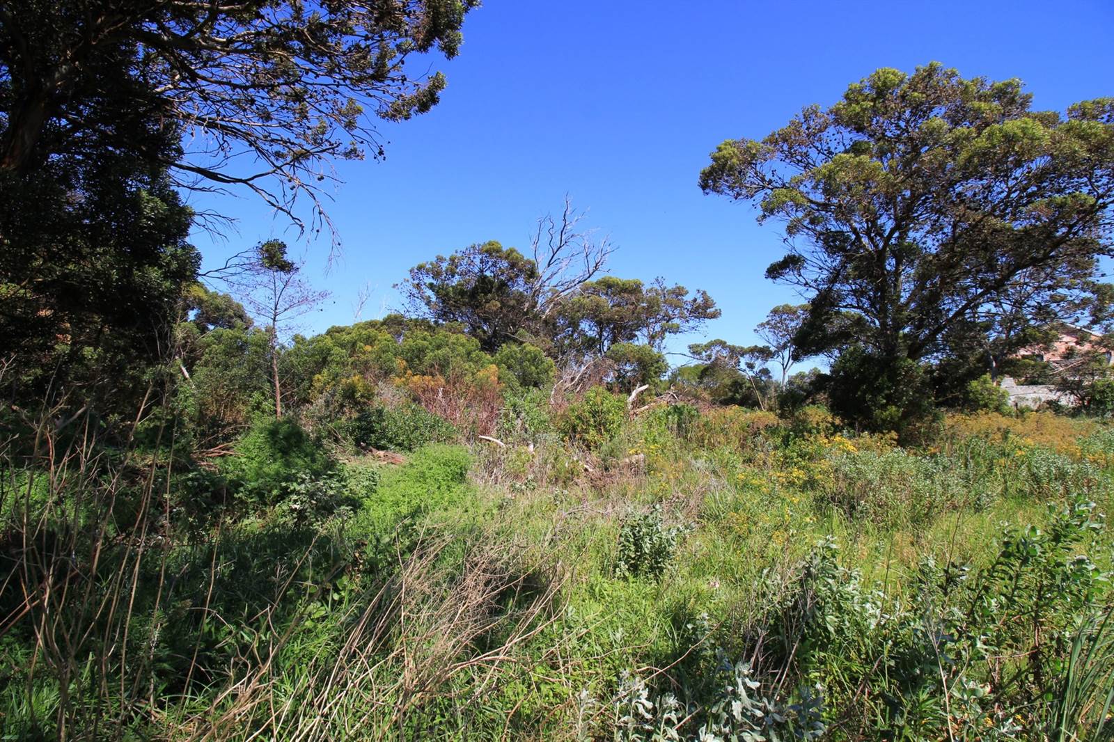 3252 m² Land available in Bettys Bay photo number 8