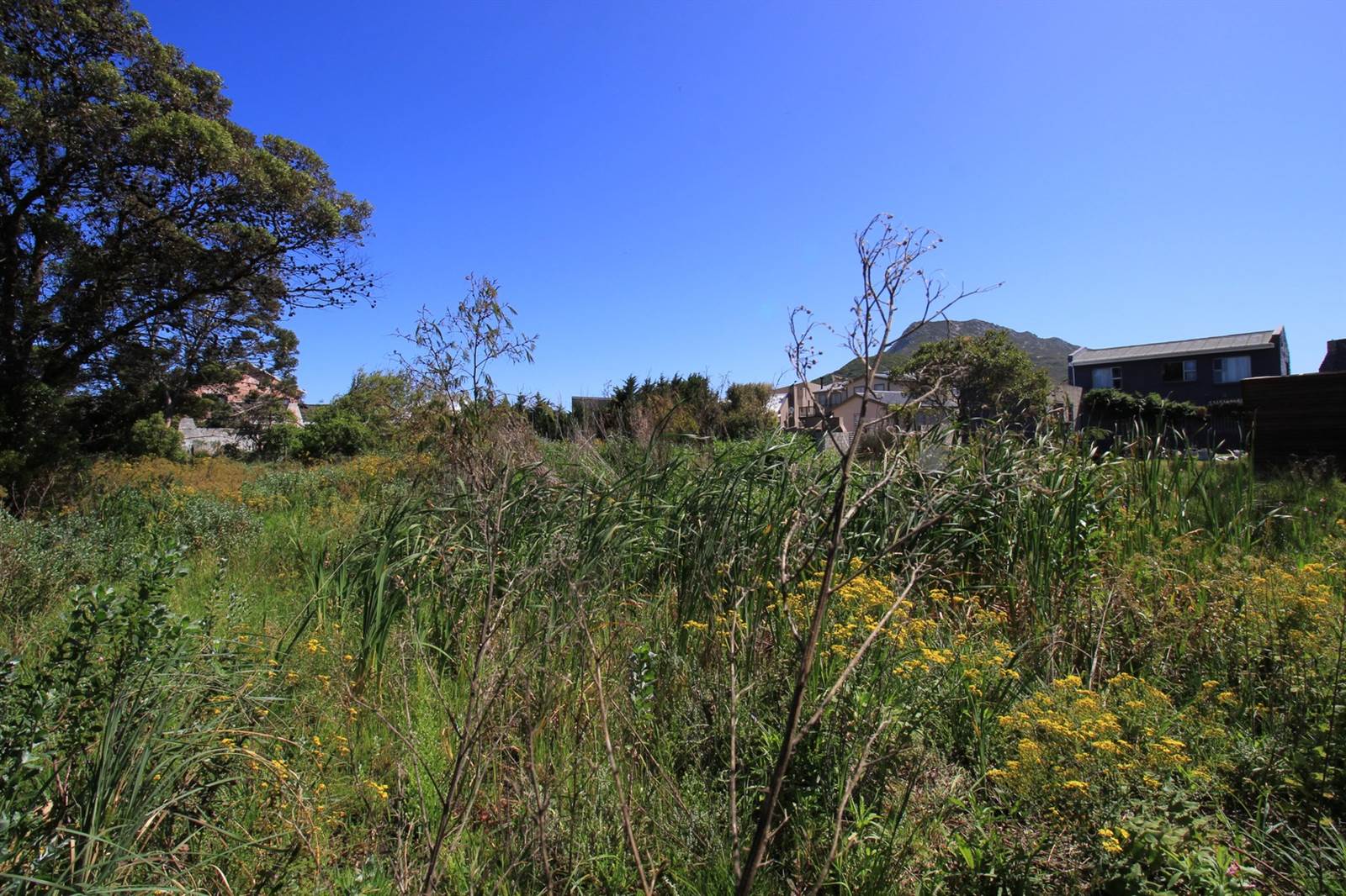 3252 m² Land available in Bettys Bay photo number 10