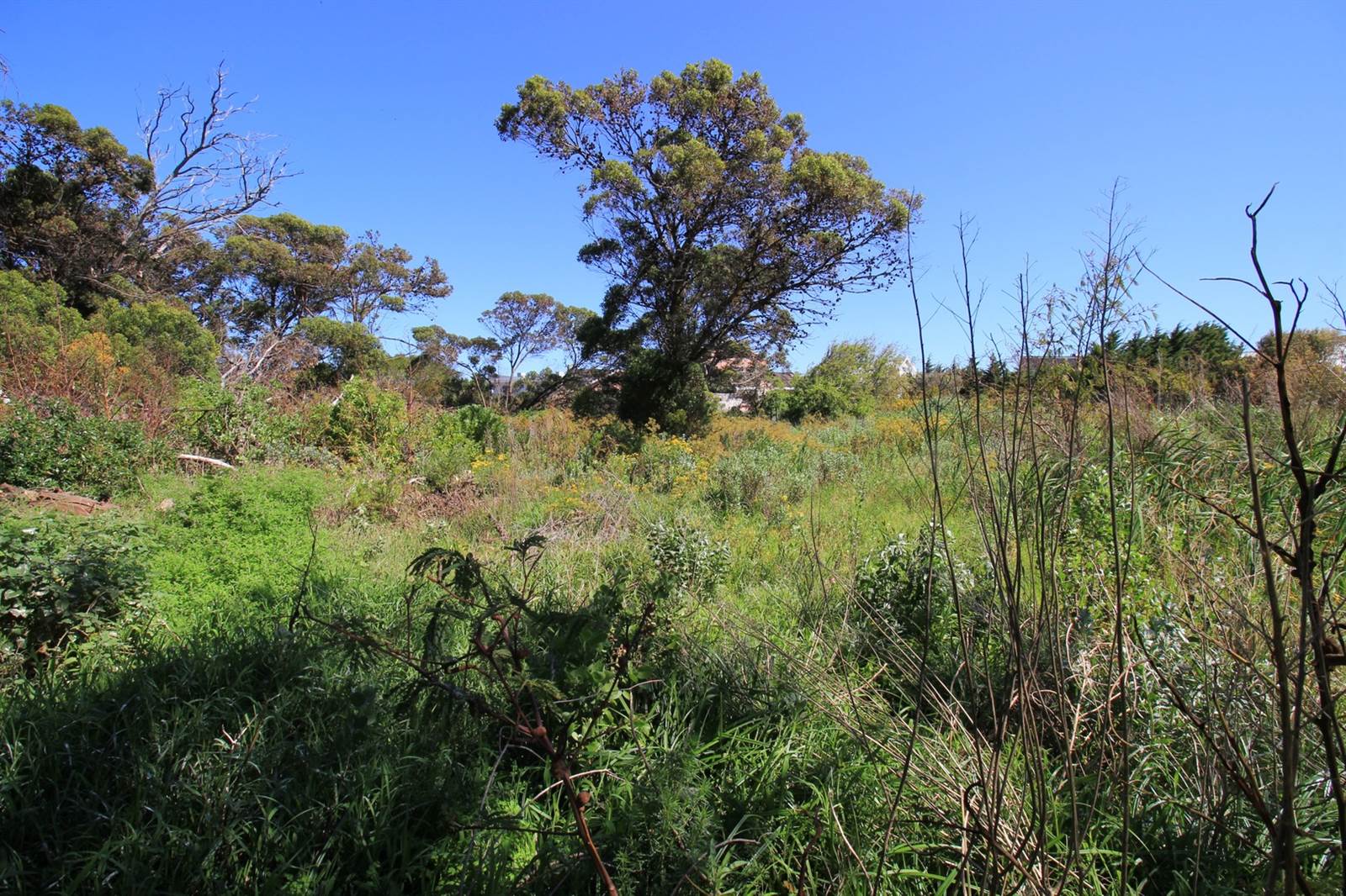 3252 m² Land available in Bettys Bay photo number 4