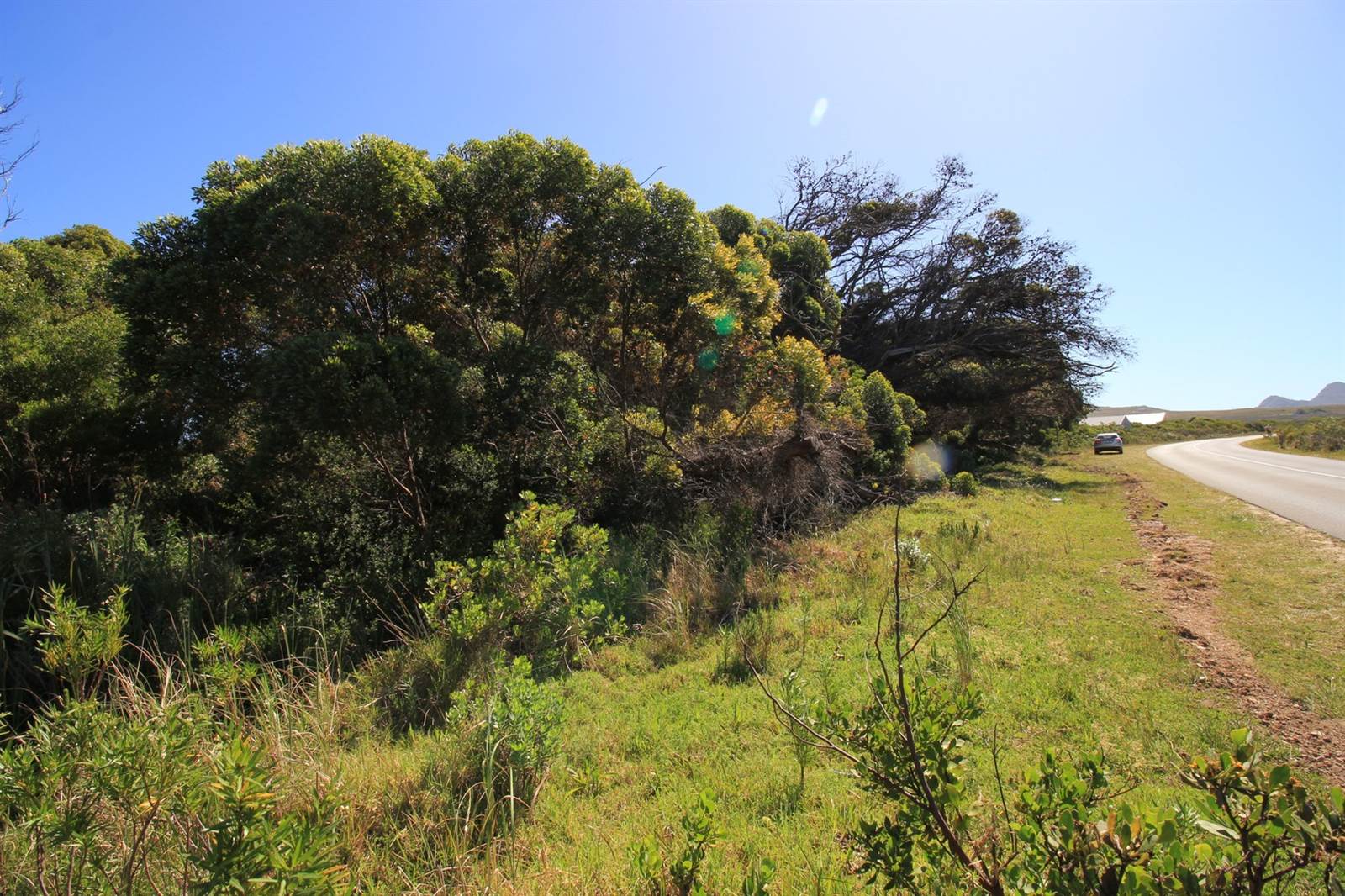 3252 m² Land available in Bettys Bay photo number 5