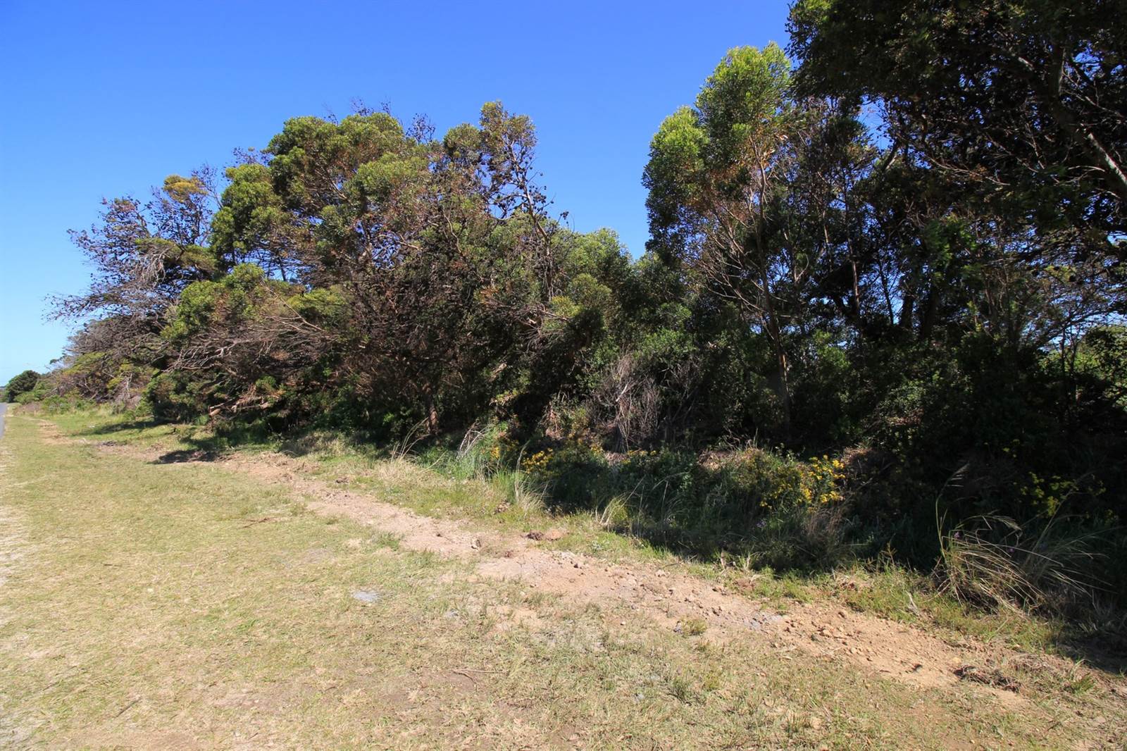 3252 m² Land available in Bettys Bay photo number 13