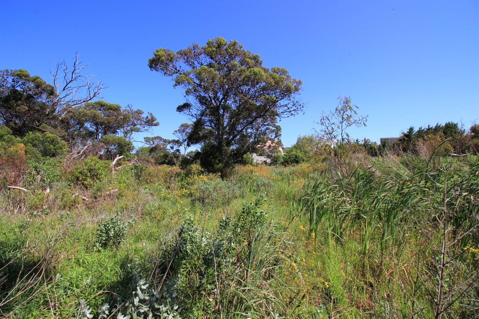3252 m² Land available in Bettys Bay photo number 9