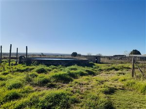 Farm in Riversdale