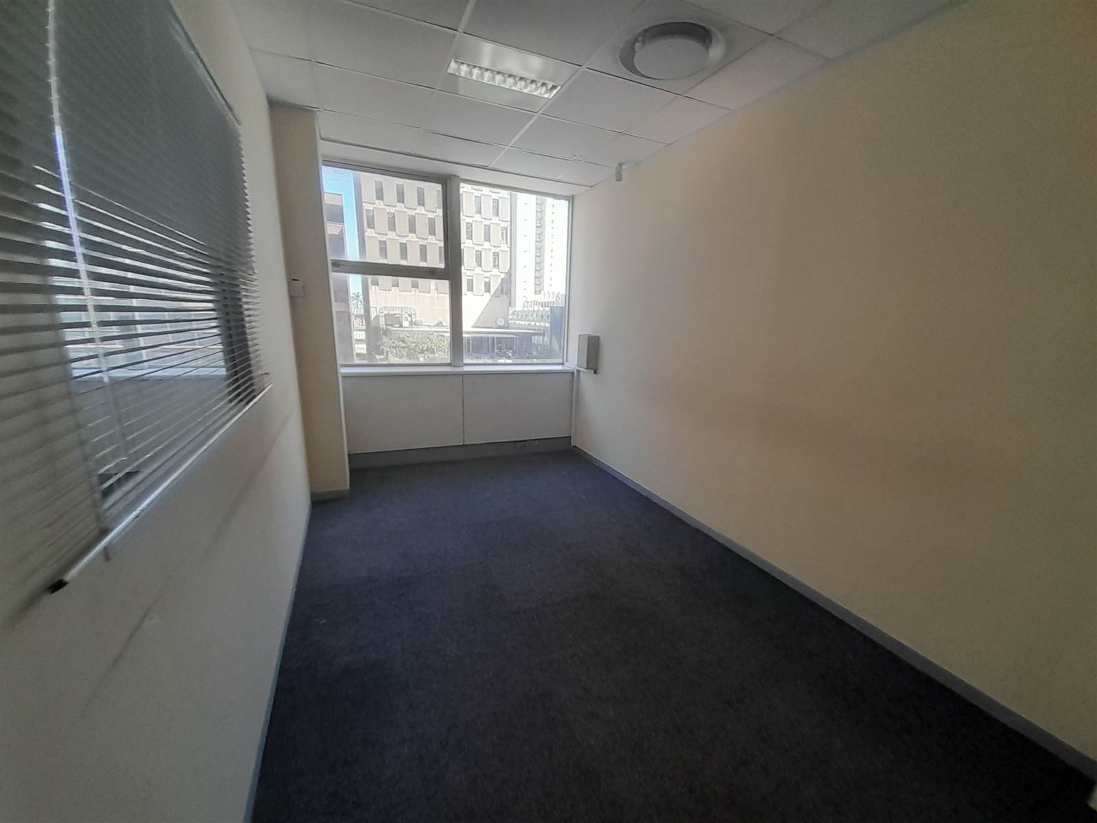 273.9  m² Commercial space in Durban CBD photo number 11