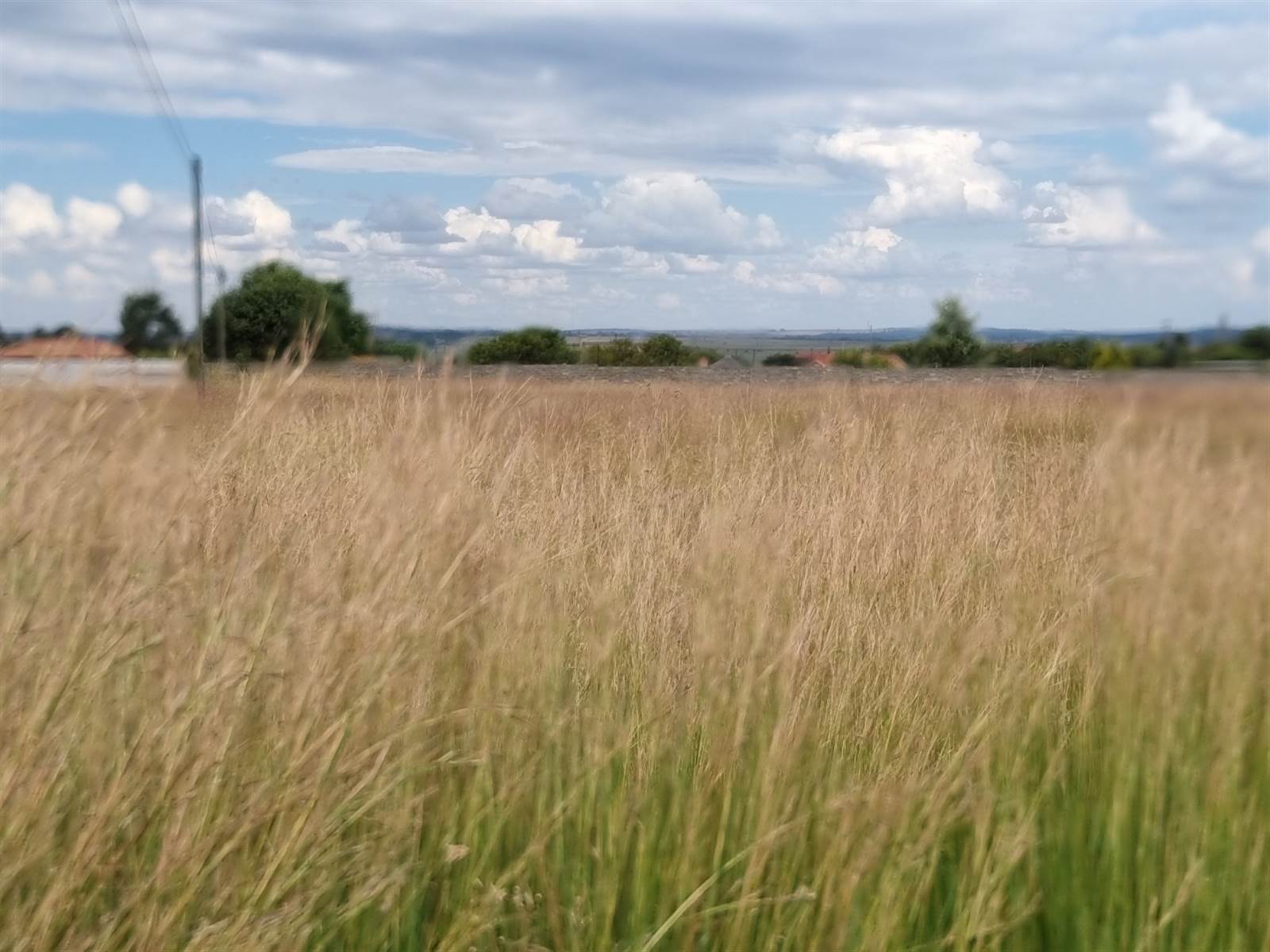 1 ha Farm in Grootfontein Estate photo number 8