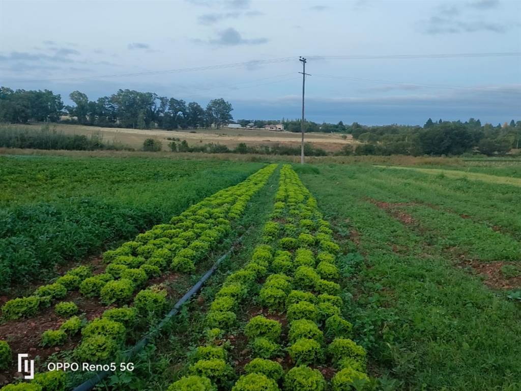 34 ha Farm in Meyerton photo number 1