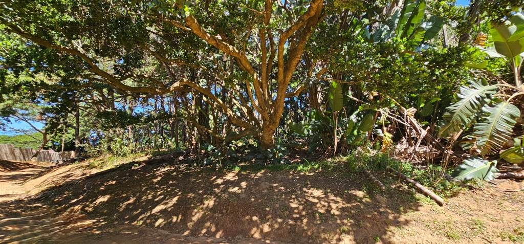 1473 m² Land available in Woodgrange photo number 10
