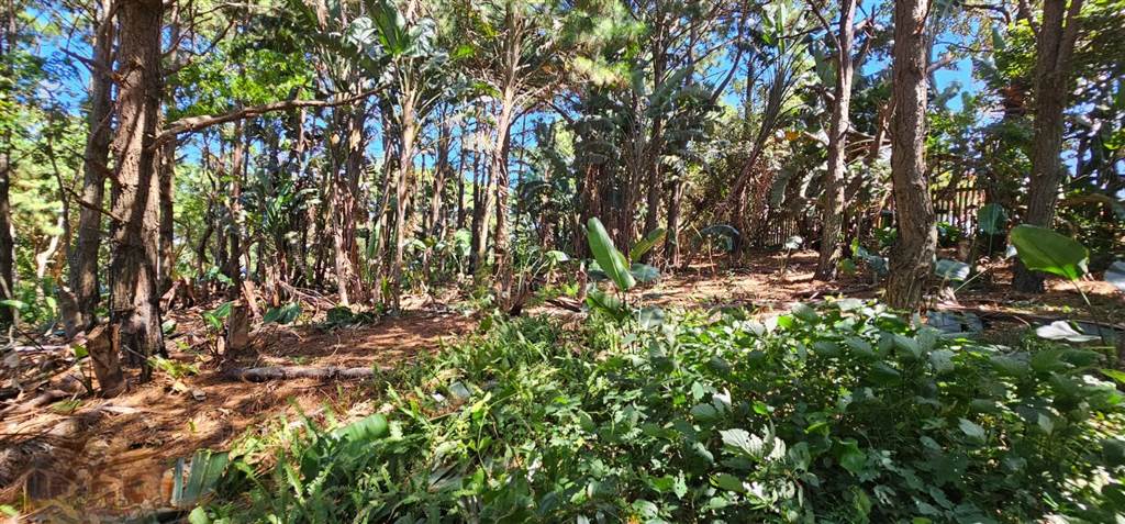 1473 m² Land available in Woodgrange photo number 3