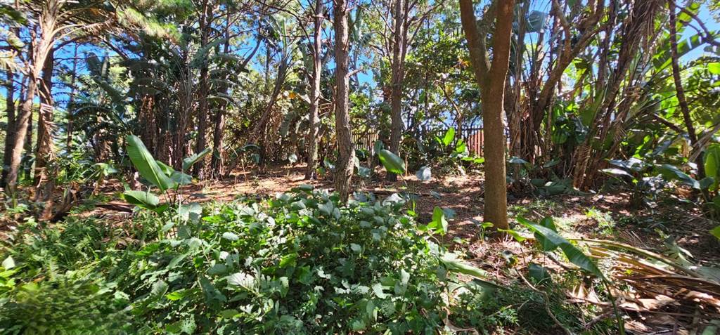 1473 m² Land available in Woodgrange photo number 9