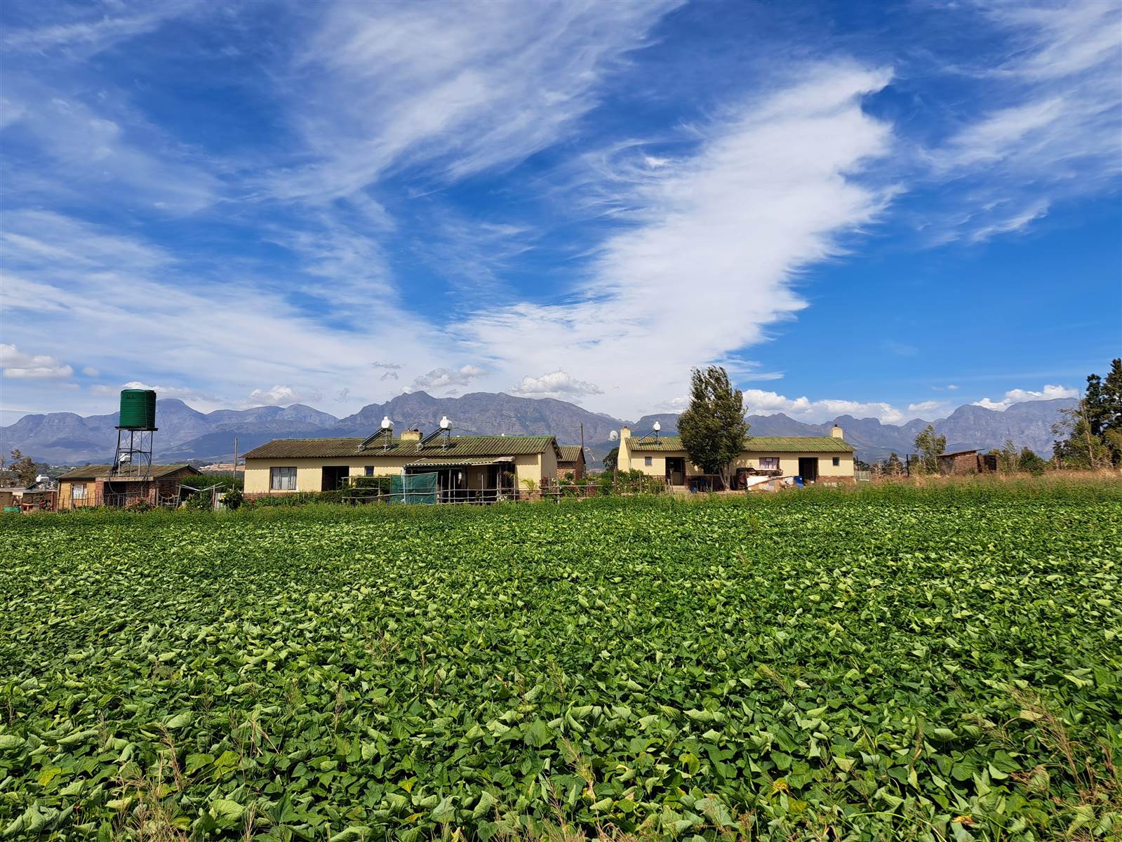 16 ha Farm in Northern Paarl photo number 2