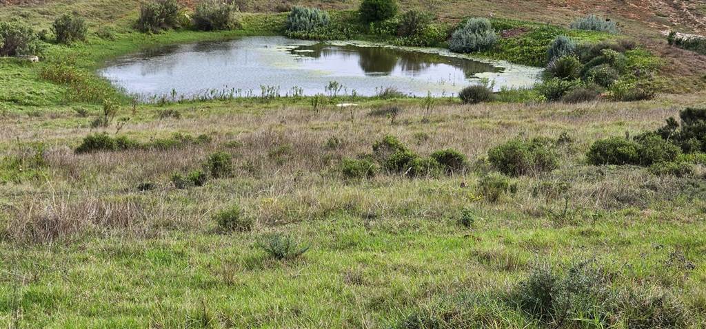 1616 m² Land available in Hartenbos photo number 5