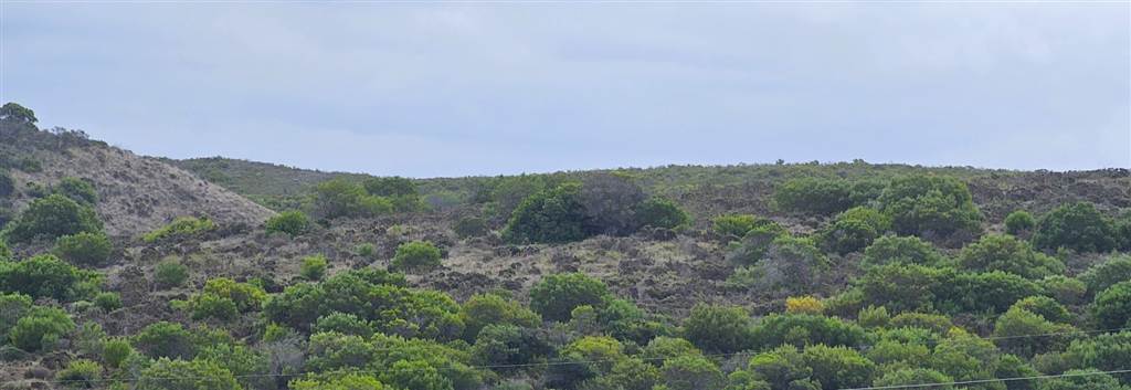 1616 m² Land available in Hartenbos photo number 10