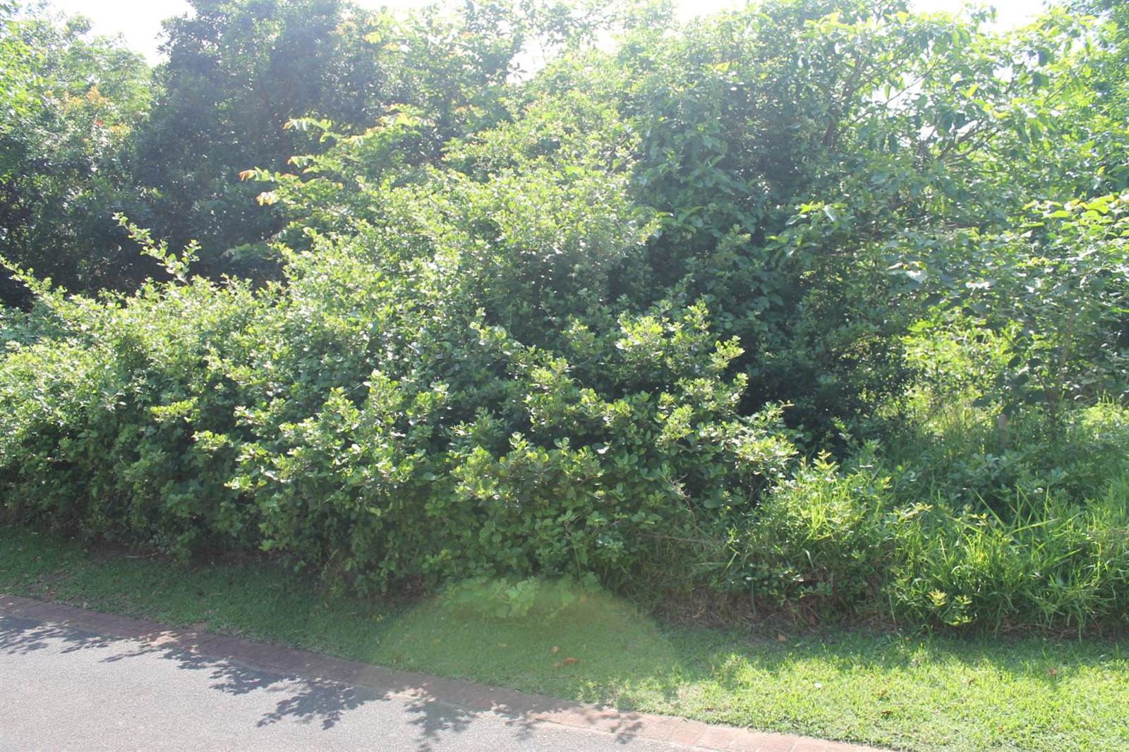 601 m² Land available in Princes Grant Golf Estate photo number 8
