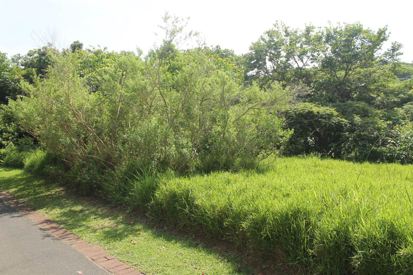 601 m² Land available in Princes Grant Golf Estate photo number 11