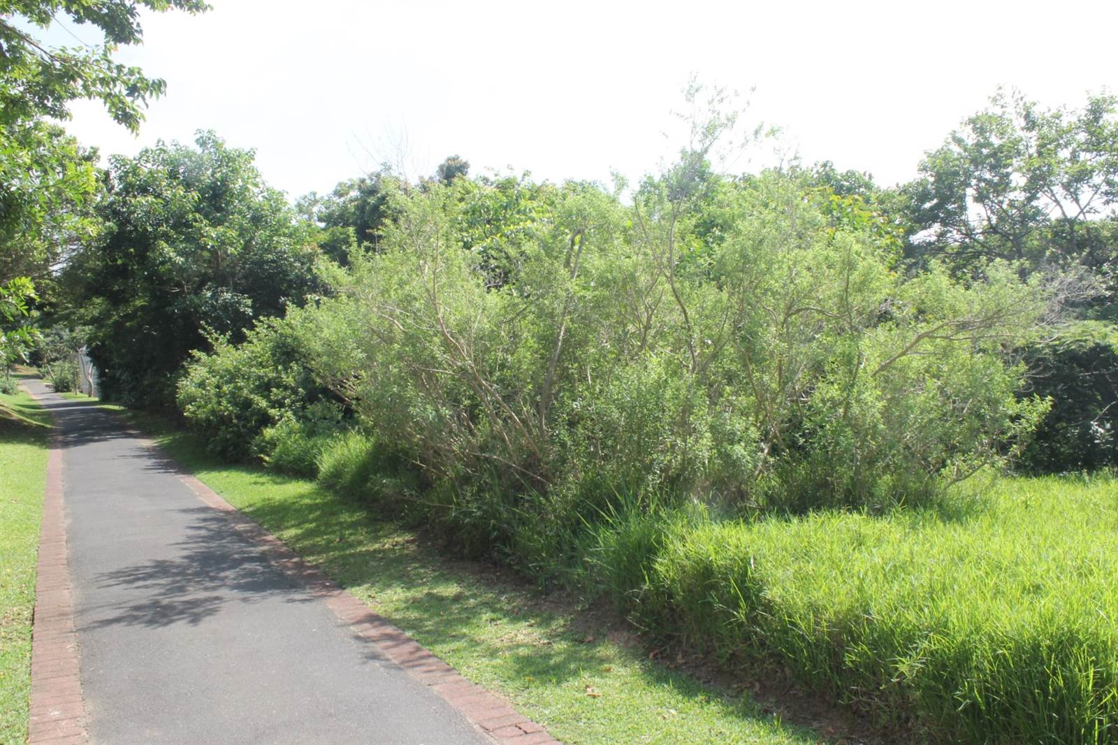 601 m² Land available in Princes Grant Golf Estate photo number 12