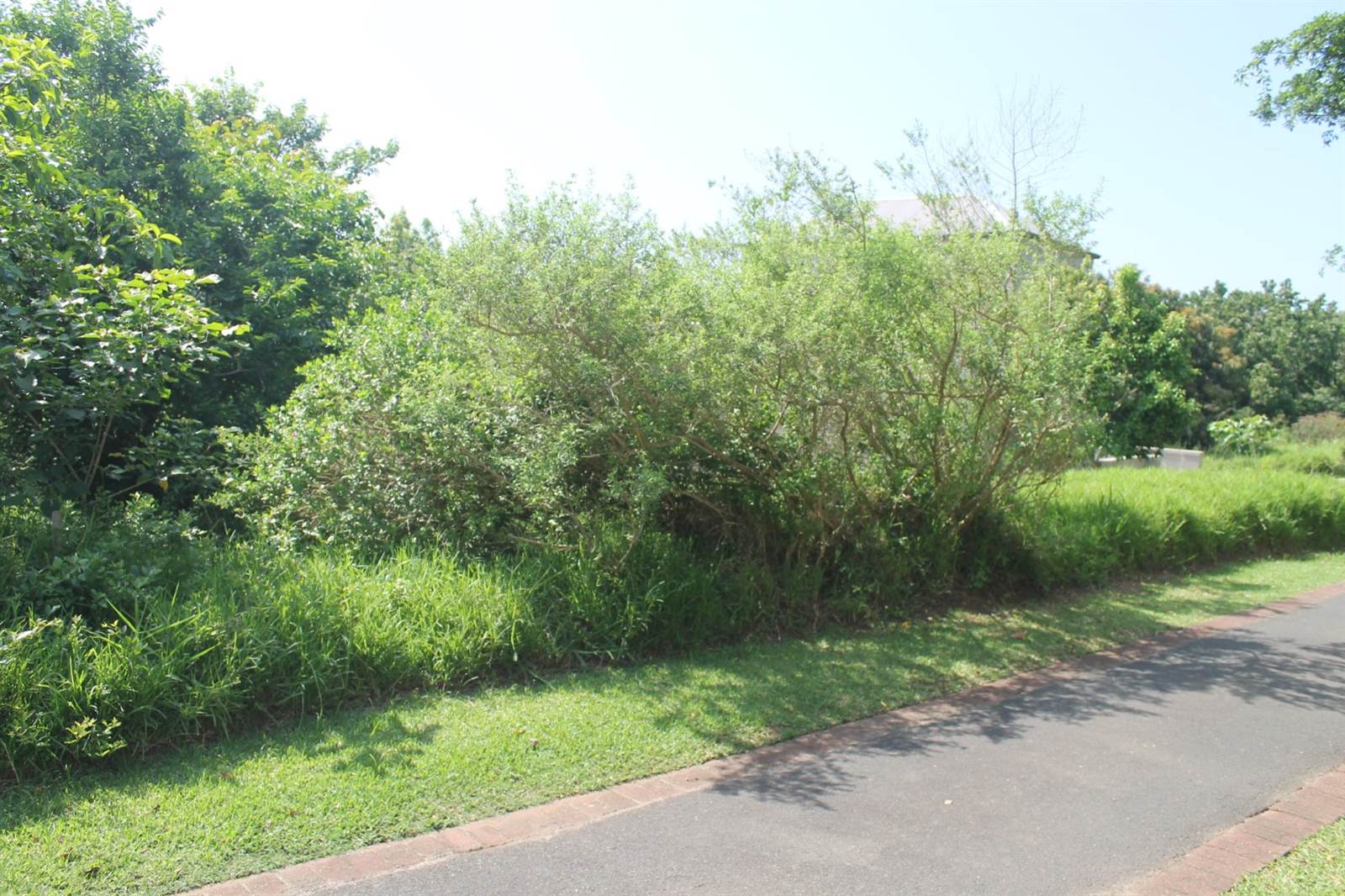 601 m² Land available in Princes Grant Golf Estate photo number 16